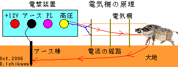 �d�C��̌���