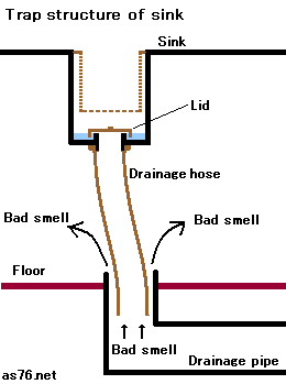Structure of the trap of a sink of a kitchen