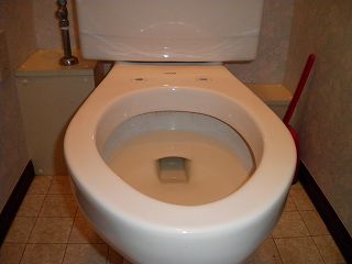 An existing toilet seat was removed. 