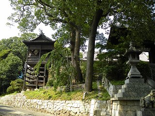 阿智神社の絵馬殿と巨木群