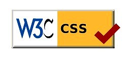 W3Cに合格したCSSの画像