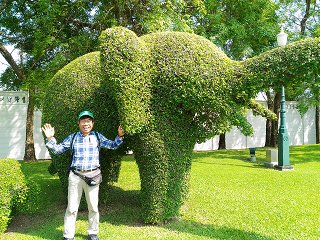 バンパイン宮殿の近くにあった木を象の形にしたもの